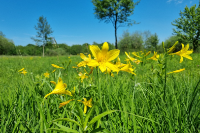 Usposabljanje ocenjevalcev in strokovnega osebja